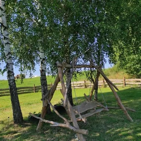 Brzozowa Polana Budry