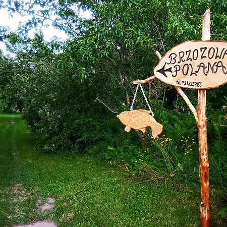 Dom wakacyjny Brzozowa Polana Budry