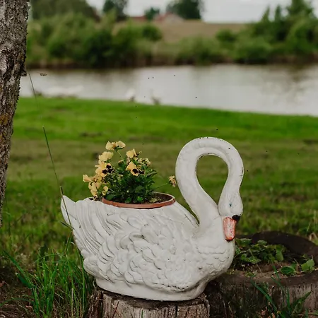 Nyaraló Brzozowa Polana Budry