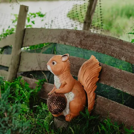 Brzozowa Polana Budry